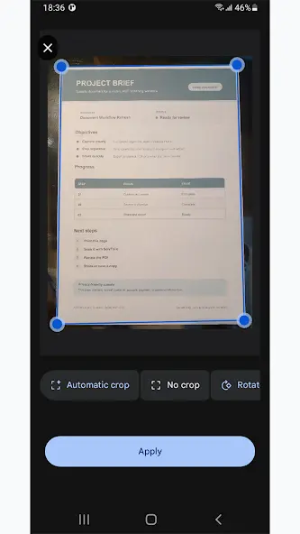 Automatic crop controls for a scanned document